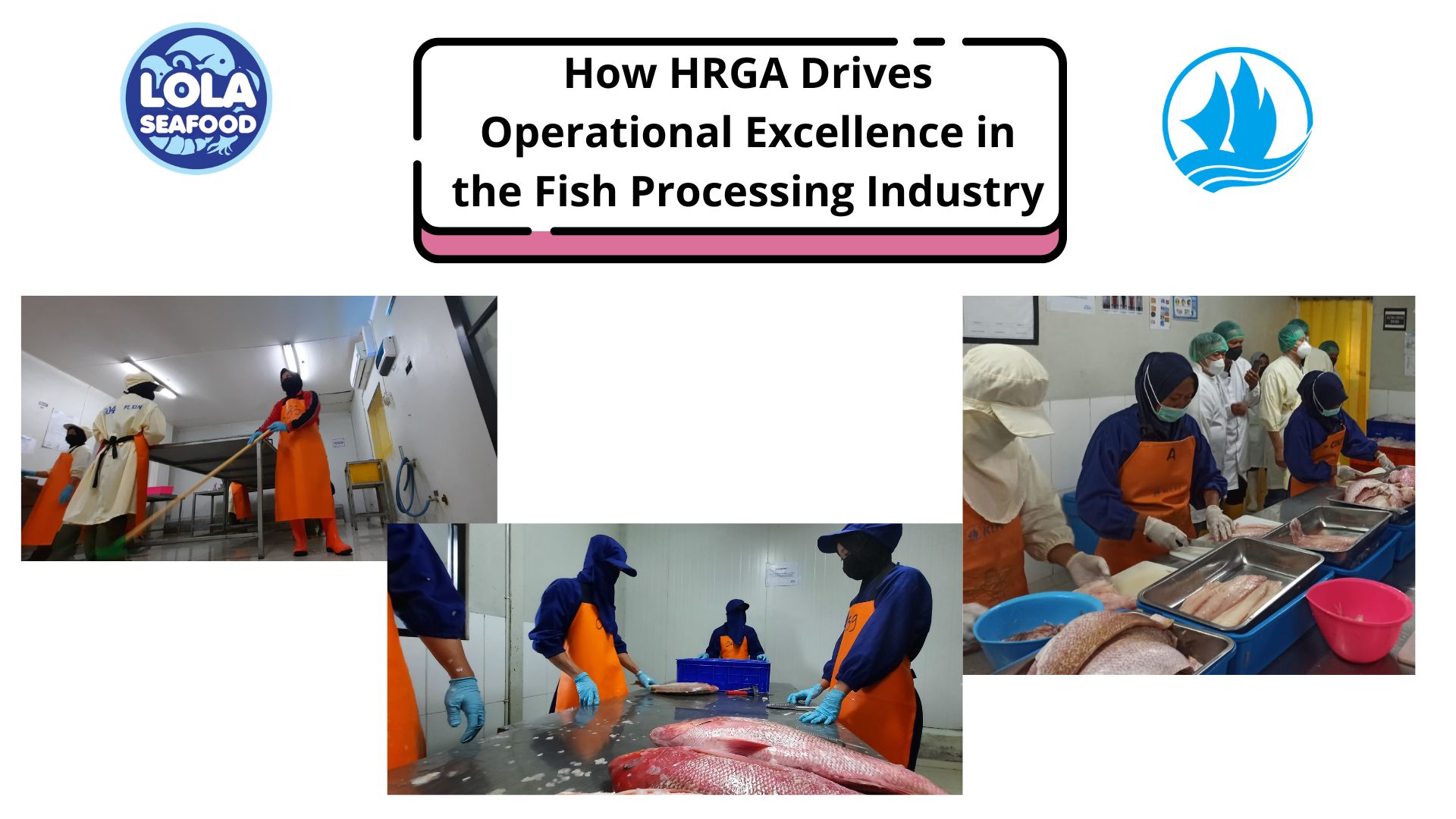  How HRGA Drives Operational Excellence in the Fish Processing Industry